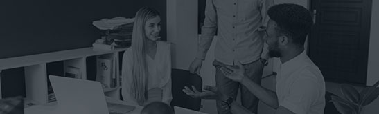 Discovery & Consultation